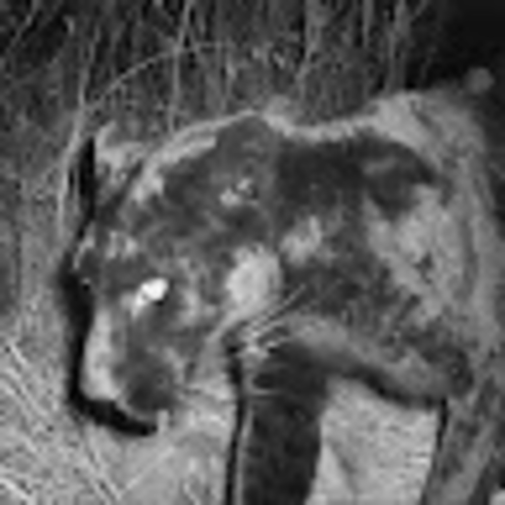 Meet your Posher, Ego